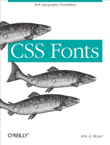 Imagen de archivo de CSS Fonts a la venta por Ergodebooks