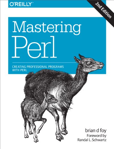 9781449393113: Mastering Perl: Creating Professional Programs with Perl