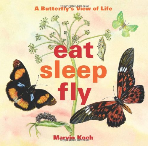 Stock image for Eat, Sleep, Fly: A Butterfly's View of Life for sale by HPB-Movies