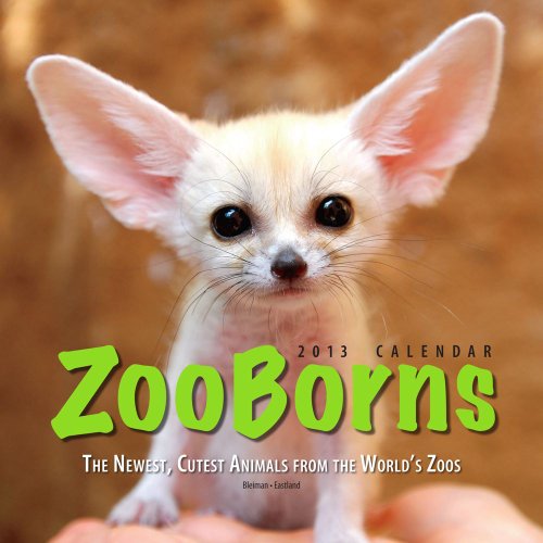 9781449417178: Zooborns 2013 Wall Calendar