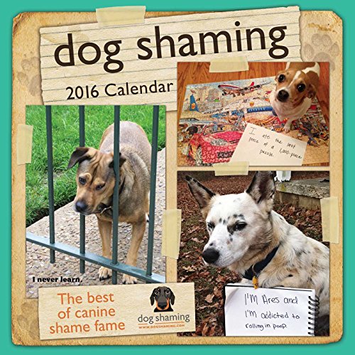 Stock image for Dog Shaming 2016 Wall Calendar for sale by Save With Sam