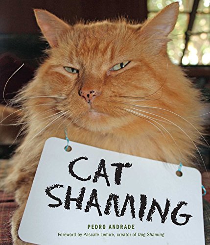 Stock image for Cat Shaming for sale by Your Online Bookstore