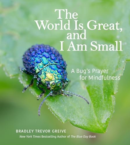 Stock image for The World Is Great, and I Am Small: A Bug's Prayer for Mindfulness for sale by SecondSale