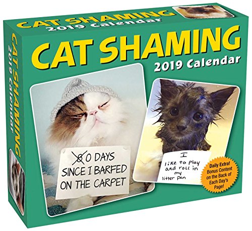 Stock image for Cat Shaming 2019 Day-to-Day Calendar for sale by Buyback Express