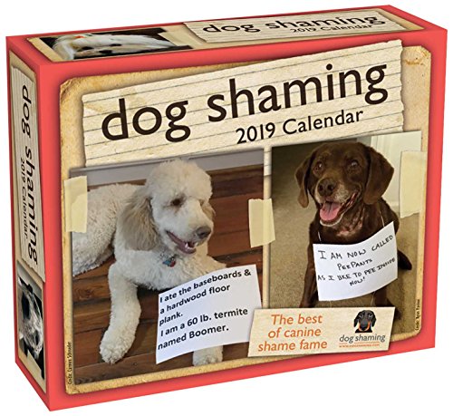 Stock image for Dog Shaming 2019 Day-to-Day Calendar for sale by London Bridge Books