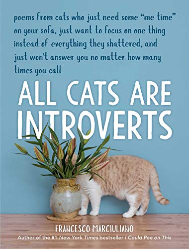 Stock image for All Cats Are Introverts for sale by Goodwill