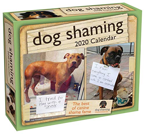 Stock image for Dog Shaming 2020 Day-to-Day Calendar for sale by dsmbooks