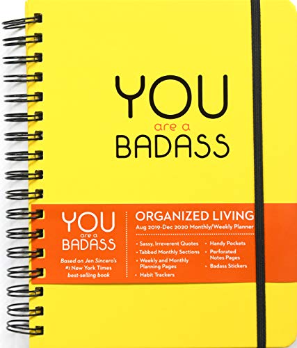 9781449499693: You Are a Badass 17-month Monthly/Weekly Planning 2019-2020 Calendar