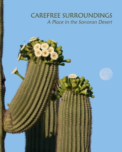 Beispielbild für Carefree Surroundings: A Place in the Sonoran Desert zum Verkauf von Bookmans