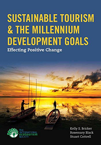 Beispielbild fr Sustainable Tourism and the Millennium Development Goals : Effecting Positive Change zum Verkauf von Better World Books