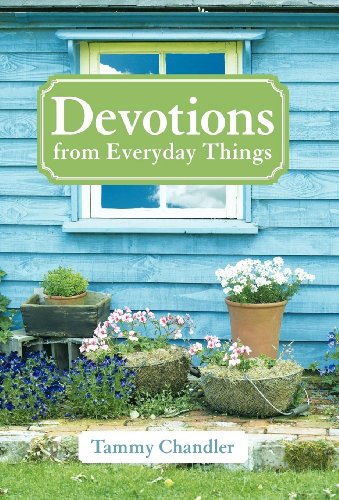 9781449731168: Devotions From Everyday Things