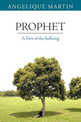 Beispielbild fr Prophet: A View Of The Suffering zum Verkauf von Wonder Book