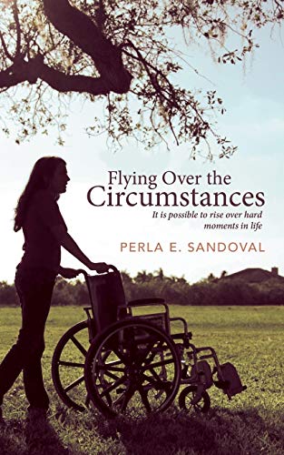 Beispielbild fr Flying Over the Circumstances: It is Possible to Rise over Hard Moments in Life zum Verkauf von Books From California