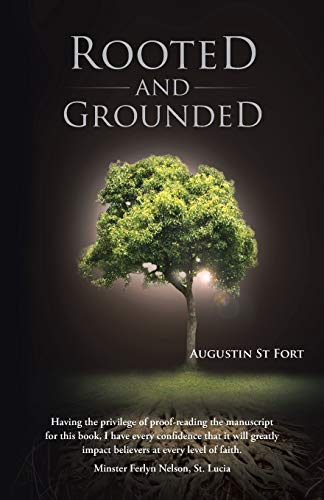 Stock image for Rooted and Grounded for sale by Chiron Media