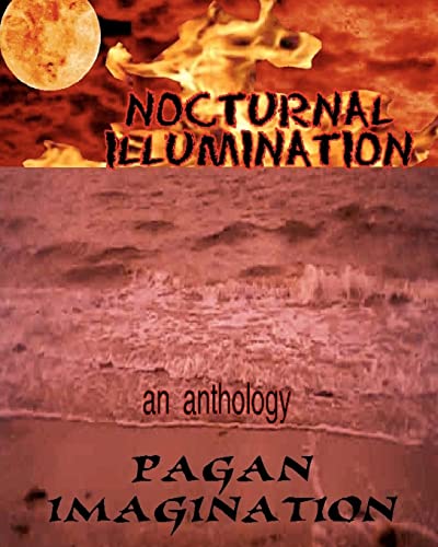 Imagen de archivo de Nocturnal Illumination: An Anthology a la venta por ALLBOOKS1