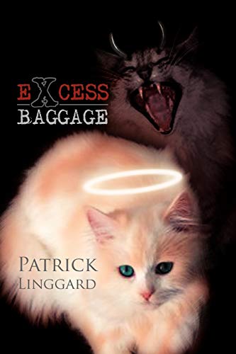 Imagen de archivo de EXCESS BAGGAGE a la venta por Lucky's Textbooks