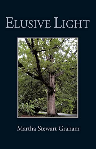 Imagen de archivo de Elusive Light a la venta por Stone Soup Books Inc