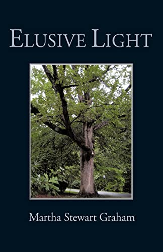 Stock image for Elusive Light for sale by Stone Soup Books Inc