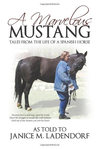 Imagen de archivo de A MARVELOUS MUSTANG Tales From the Life of a Spanish Horse a la venta por Viking Book