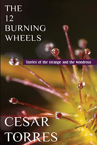 Stock image for The 12 Burning Wheels for sale by Open Books