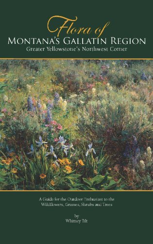 Stock image for Flora of Montana's Gallatin Region, Greater Yellowstone's Northwest Corner for sale by Isle of Books