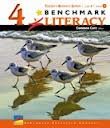 Stock image for Benchmark Literacy Grade 4 Volume 2 Teachers Resource System for sale by Allied Book Company Inc.