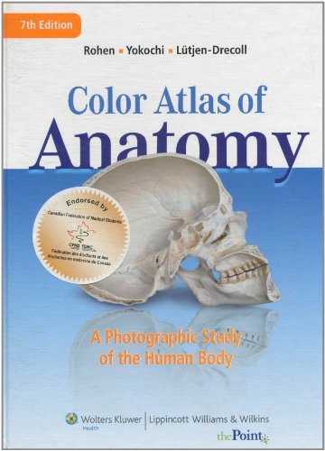 Beispielbild fr Color Atlas of Anatomy: A Photographic Study of the Human Body (Canadian Edition) zum Verkauf von Book Dispensary