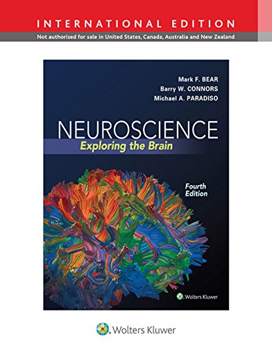 9781451109542: Neuroscience: Exploring the Brain (International Edition)