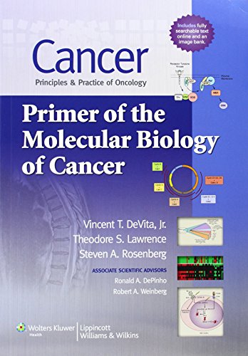 Imagen de archivo de Cancer: Principles & Practice of Oncology: Primer of the Molecular Biology of Cancer a la venta por medimops