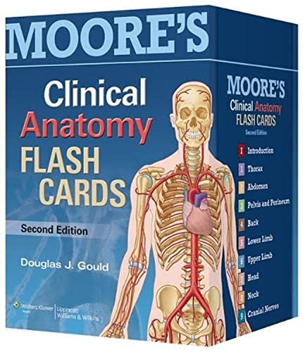 Beispielbild fr Moore's Clinical Anatomy Flash Cards zum Verkauf von BooksRun