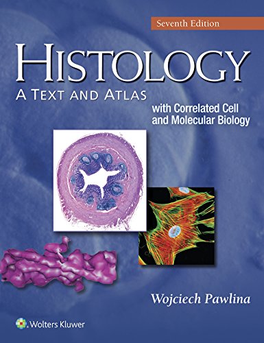 Stock image for Histology: A Text and Atlas: With Correlated Cell and Molecular Biology for sale by HPB-Red