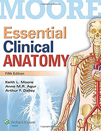 Stock image for Moore Essential Clinical Anatomy for sale by Goodwill San Antonio