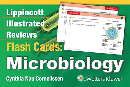 Stock image for Lippincott Illustrated Reviews Flash Cards: Microbiology. for sale by Books Puddle