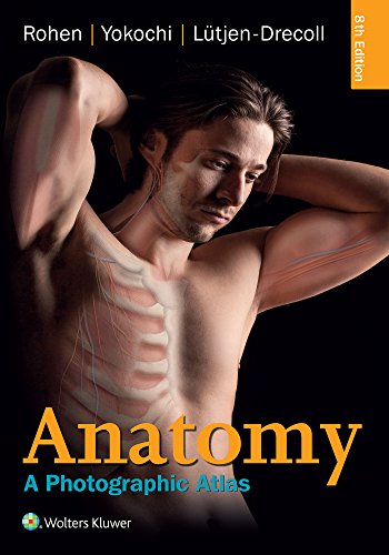 Beispielbild fr Anatomy: A Photographic Atlas (Color Atlas of Anatomy a Photographic Study of the Human Body) zum Verkauf von HPB-Red