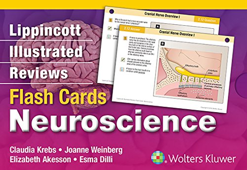 Stock image for Lippincott Illustrated Reviews Flash Cards: Neuroscience (Lippincott Illustrated Reviews Series) for sale by GF Books, Inc.