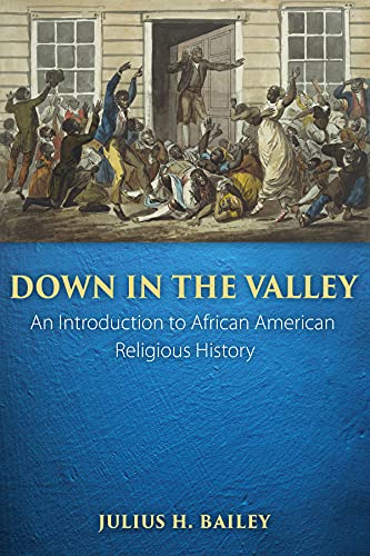 Beispielbild fr Down in the Valley: An Introduction to African American Religious History zum Verkauf von BooksRun