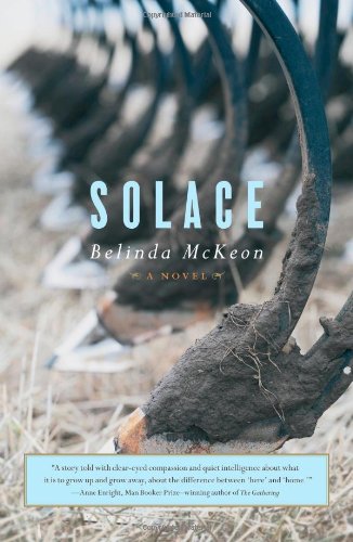 Beispielbild fr Solace: A Novel zum Verkauf von Reliant Bookstore