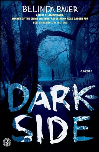 9781451612752: Darkside: A Novel