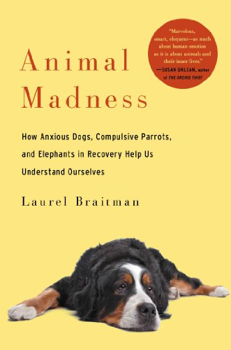 Animal Madness: How Anxious Dogs, Compulsive Parrots, and Elephants in Recovery Help Us Understan...