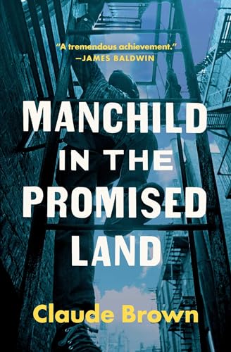 Stock image for Manchild in the Promised Land for sale by Better World Books