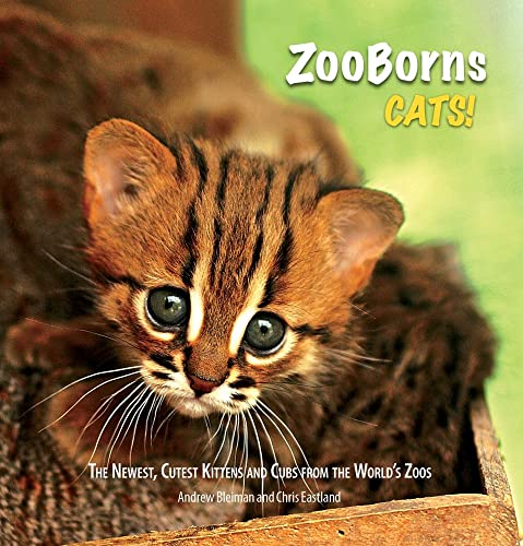 Beispielbild fr ZooBorns Cats! : The Newest, Cutest Kittens and Cubs from the World's Zoos zum Verkauf von Better World Books