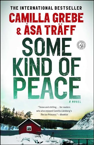 Beispielbild fr Some Kind of Peace : A Novel zum Verkauf von Better World Books