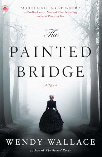9781451660838: The Painted Bridge: A Novel