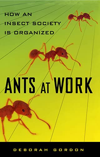 Imagen de archivo de Ants At Work: How An Insect Society Is Organized a la venta por Goodwill of Colorado