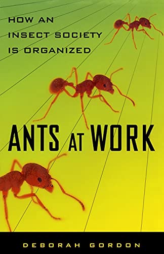 Stock image for Ants At Work: How An Insect Society Is Organized for sale by Goodwill of Colorado