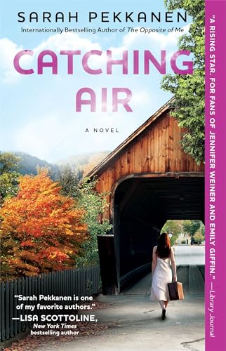 Beispielbild fr Catching Air: A Novel zum Verkauf von Wonder Book