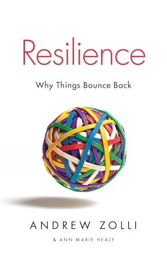 Beispielbild fr Resilience: Why Things Bounce Back zum Verkauf von SecondSale