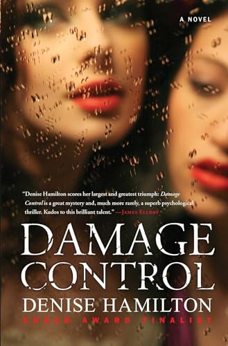 Beispielbild fr Damage Control: A Novel zum Verkauf von More Than Words