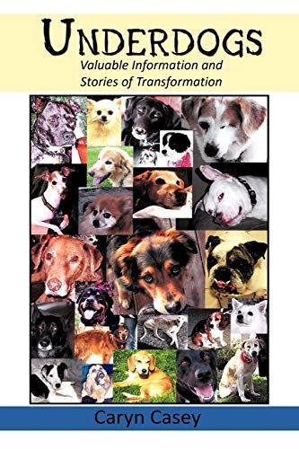 Imagen de archivo de Underdogs: Valuable Information and Stories of Transformation a la venta por Lucky's Textbooks