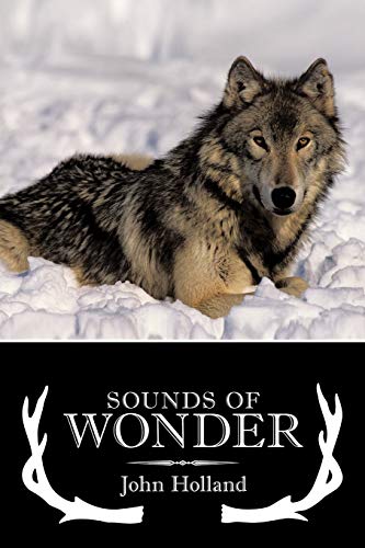 Stock image for Sounds of Wonder for sale by Chiron Media